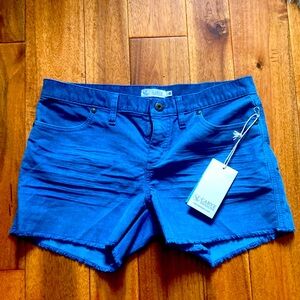 Carve Designs Oahu Short, Size 6, Color Pacifica